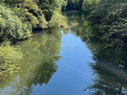 6D34AC79-8886-4E4C-A882-A16EF7599F81