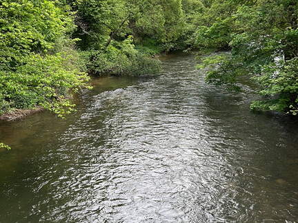 73C20703-C886-45DC-8365-83F3FAB7CC24