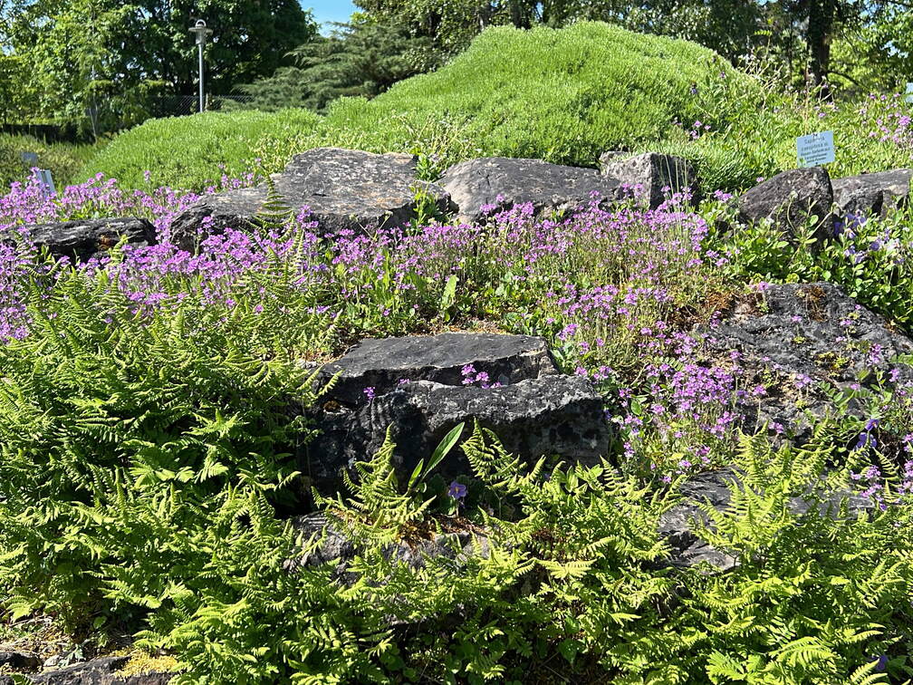 74EA60B5-EE27-46A2-80FC-F8344425D912