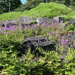 74EA60B5-EE27-46A2-80FC-F8344425D912