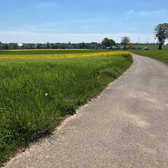 75D96819-031C-405E-A80C-5ECE65384B5D