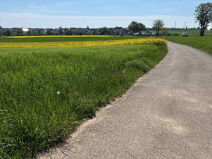 75D96819-031C-405E-A80C-5ECE65384B5D