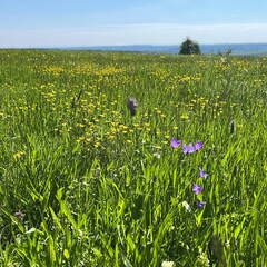 898C5A26-1EDA-4165-A380-BB4056F5B4B4