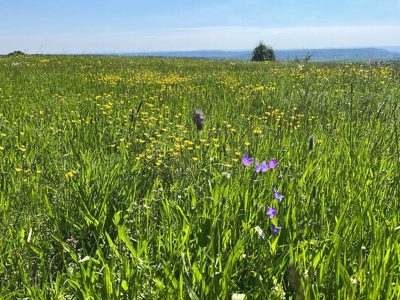 898C5A26-1EDA-4165-A380-BB4056F5B4B4