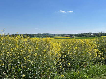 8C38E253-C891-4631-A87E-1CC0DE053DD0