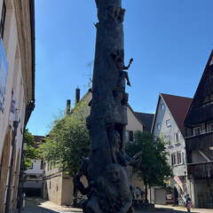 91E97458-2A4A-4E8E-B6E5-516C0ED6B2E5