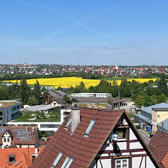 934B91B0-5C84-459A-9799-43F28DE917EE