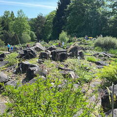 97632C35-0A12-4A07-B69E-E7F48CF4029F