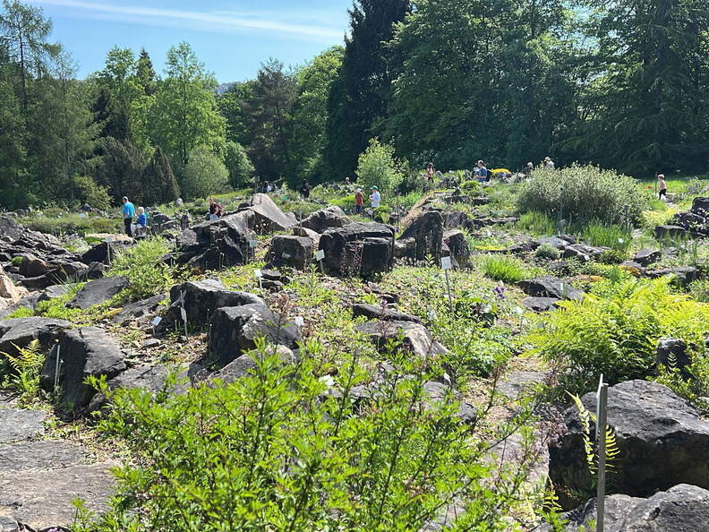 97632C35-0A12-4A07-B69E-E7F48CF4029F