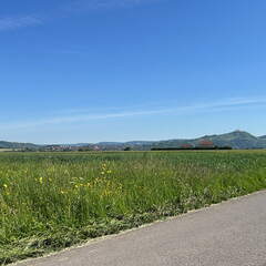 9A13E2D8-4739-4AE3-A26F-A49671A39A45