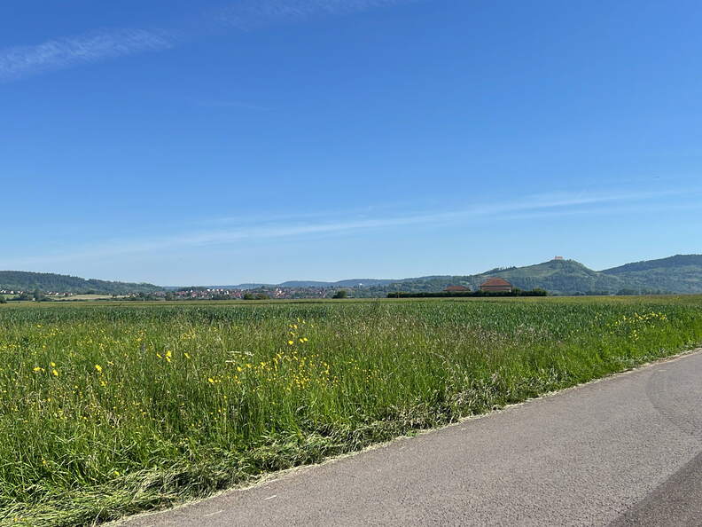 9A13E2D8-4739-4AE3-A26F-A49671A39A45