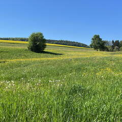 9A766707-3DC2-446C-8BC7-BC5869C0989D