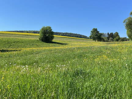 9A766707-3DC2-446C-8BC7-BC5869C0989D