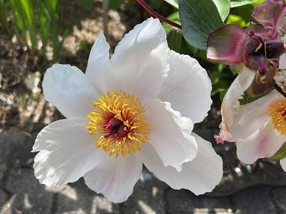 9DB9FAD6-66FB-40B3-8A10-0D5282ACDF6E