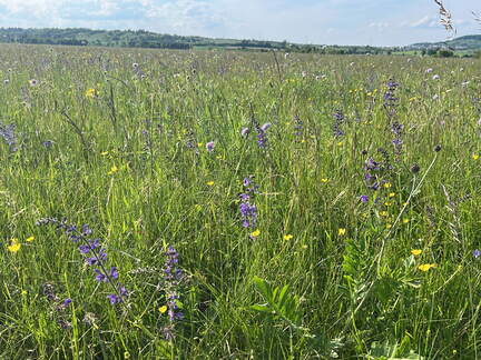 AAE7B41B-BFB7-43DF-8293-5504160B1EDF