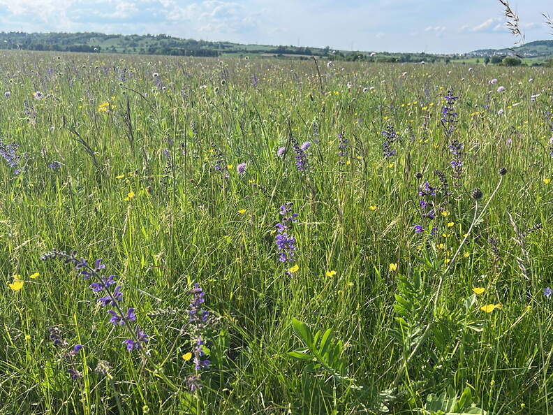 AAE7B41B-BFB7-43DF-8293-5504160B1EDF