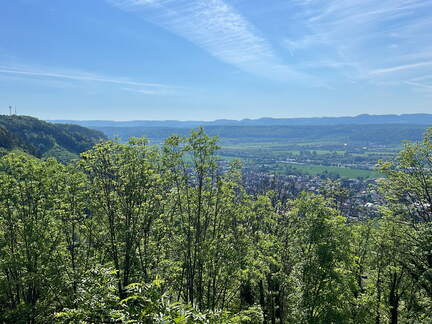 AEC92603-B510-467E-8724-EA6705279B60