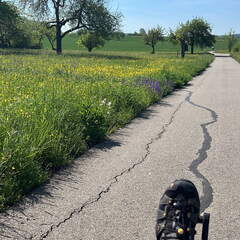 B141D151-5083-45C2-ABCA-DCFF672D497F