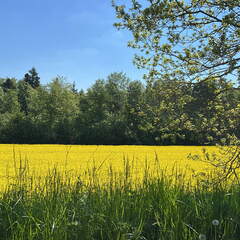 B4D814F8-5178-48C0-A106-CC415ABB15AE