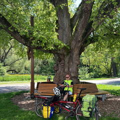 B5277DCA-E903-4DBE-810C-94445CE479B6