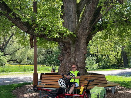 B5277DCA-E903-4DBE-810C-94445CE479B6