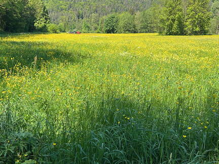 BD1D23F1-3950-4020-AE9B-F97A17B92C64