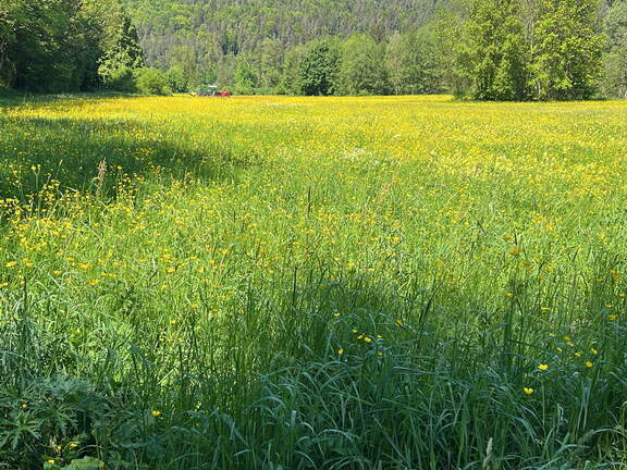 BD1D23F1-3950-4020-AE9B-F97A17B92C64