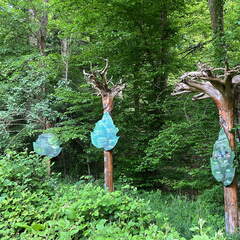 C87A13BC-38B3-43A0-819F-45248459B3B4