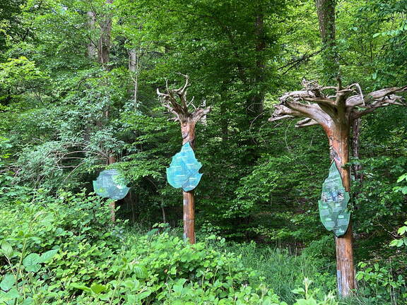 C87A13BC-38B3-43A0-819F-45248459B3B4