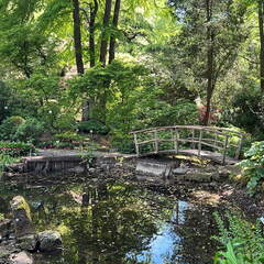 E43A4510-6C92-4236-A385-C26A3907F3A2