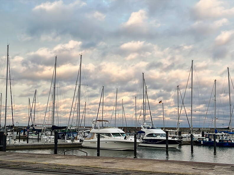 0A8C638E-F050-4395-985D-28949A969176