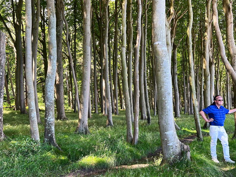 96CB156C-3C13-4190-9FAE-838BAA643BF5