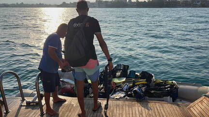 0E138C15-DBC0-4C07-B247-BA59BE41B113