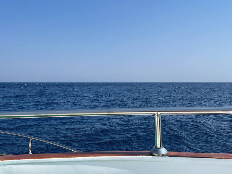 1C876EE1-3B18-411E-B709-0CE42F126753