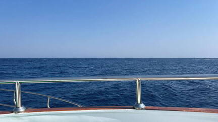 1C876EE1-3B18-411E-B709-0CE42F126753