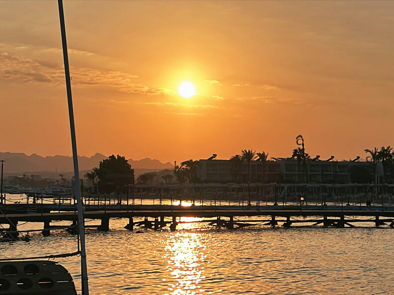 527F029D-45B9-4E8A-AE9E-5BCF381D6DEB