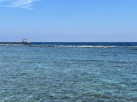 5F6C7EF1-7BFE-465B-958E-FFD0065B2EDF