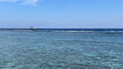 5F6C7EF1-7BFE-465B-958E-FFD0065B2EDF