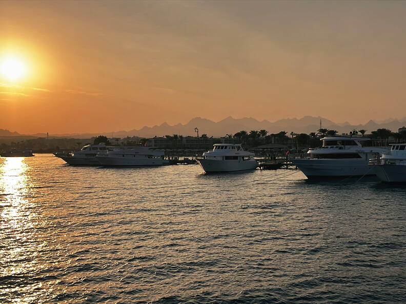 9D9EF65D-4E49-427D-8619-440BBF4EA0B9