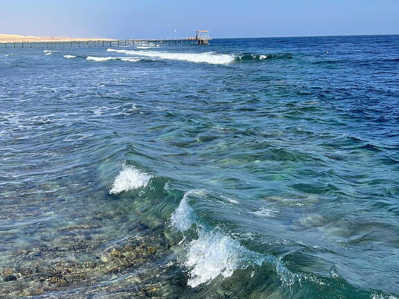 D4D285E5-1209-4A56-8D9B-D84430DC0346