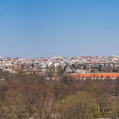 20260319 131123 PANORAMA