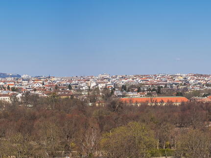 20260319 131123 PANORAMA