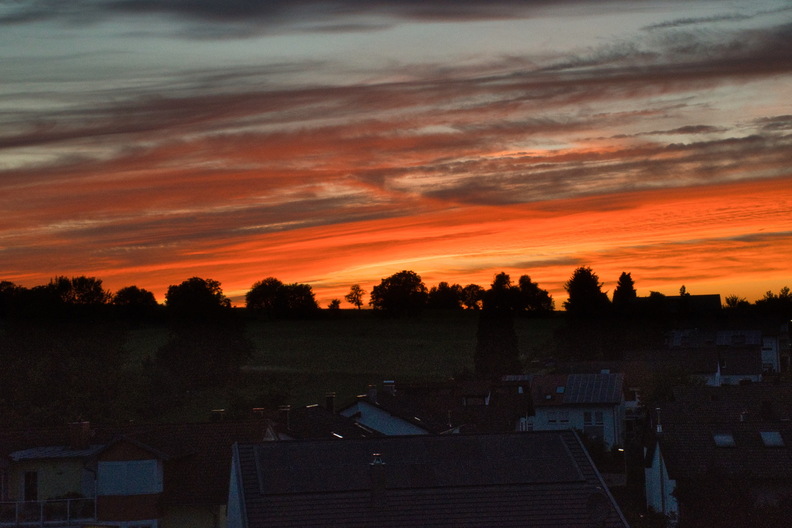DSC_4248.jpeg
