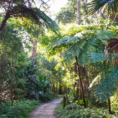 Australien 20131212 0021