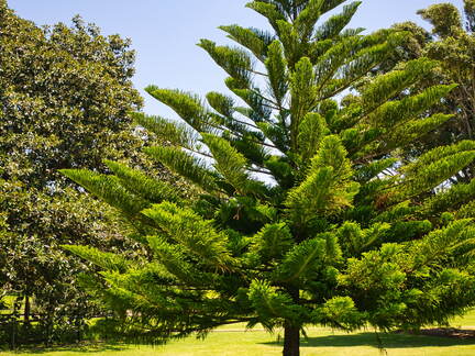 Australien 20131213 0038