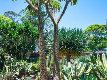 Australien 20131213 0047