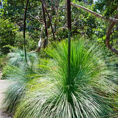 Australien 20131213 0050