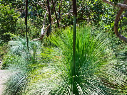 Australien 20131213 0050