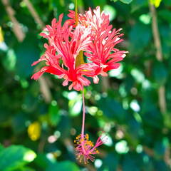 Australien 20131213 0051