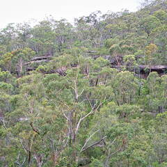 Australien 20131214 0060